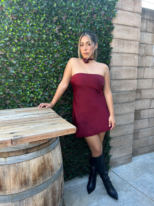 Wine Mini Dress